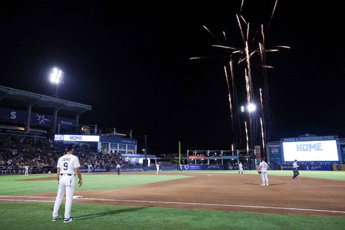 MLB: Minnesota Twins at Tampa Bay Rays