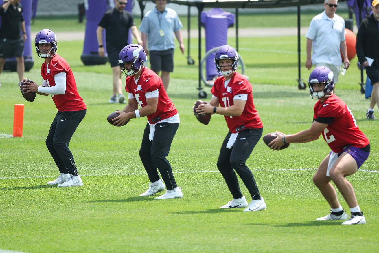 NFL: Minnesota Vikings Minicamp