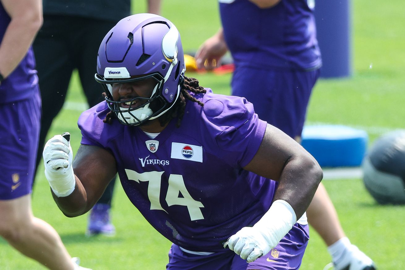NFL: Minnesota Vikings Minicamp