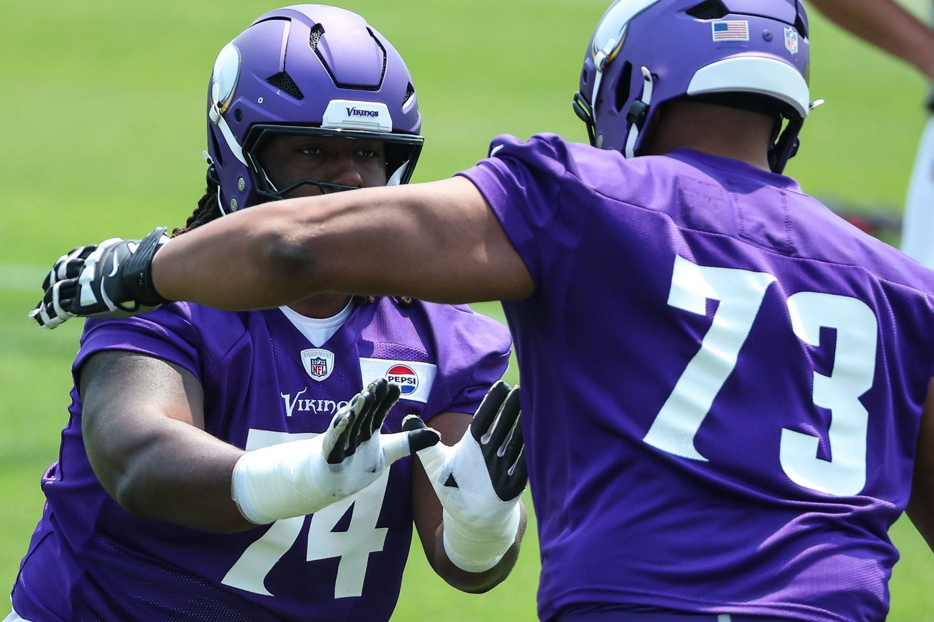 NFL: Minnesota Vikings Minicamp