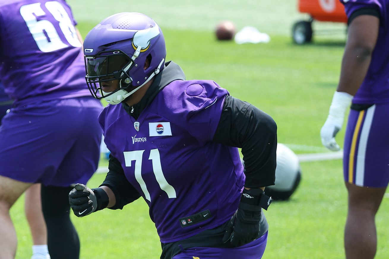 NFL: Minnesota Vikings Minicamp
